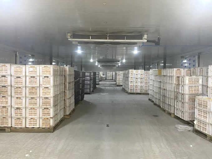 氣調庫的特點及優點有哪些？