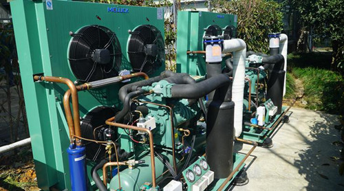 比澤爾雙極機