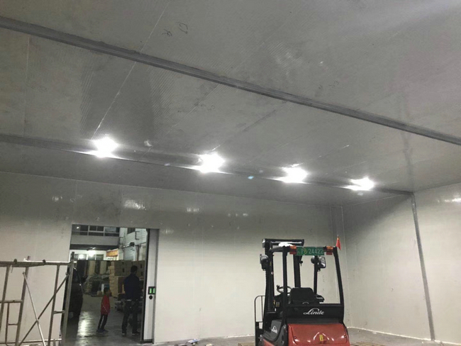 醫藥冷庫GSP驗證報告內容