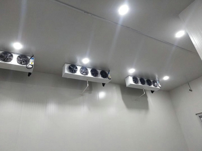 陰涼恒溫冷庫設計建造溫度要求