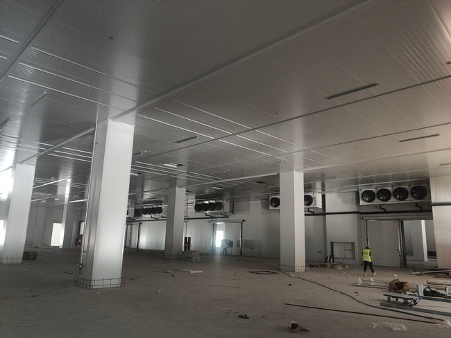 5000噸農產品保鮮冷庫建設需要多少錢