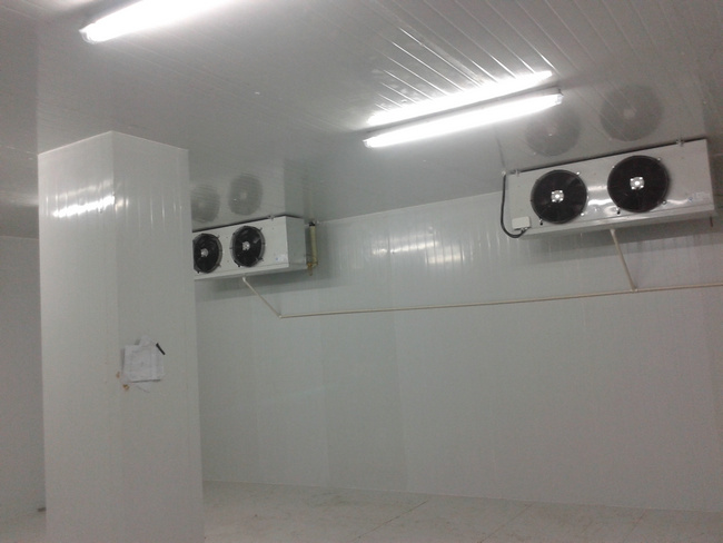 建造20噸冷庫安裝報價大概多少費用?