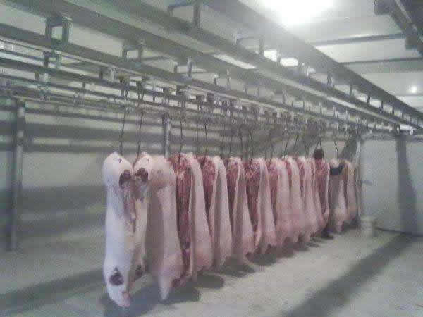 速凍庫與速凍隧道建造成本